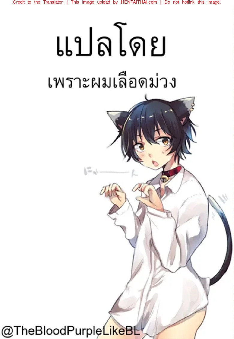 ตอนคิดไม่ทำ ตอนทำไม่คิด — หน้า 17 จาก 17