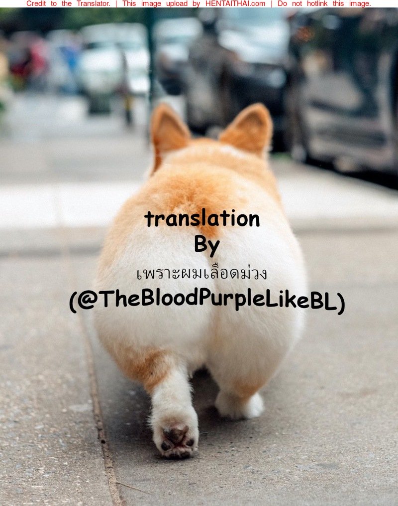 ปฏิบัติการ ขโมย หนังสือโป๊ — หน้า 25 จาก 25